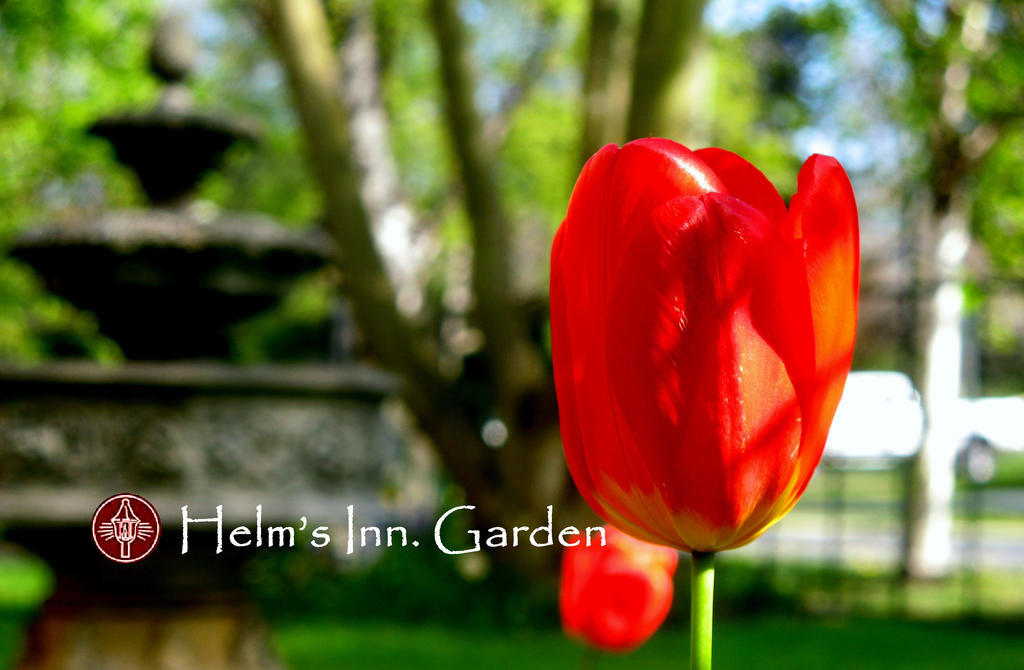 Helm'S Inn Victoria Exteriér fotografie
